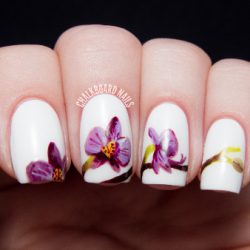 orchid nails white and purple