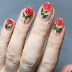 Coyarose rose nails