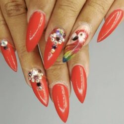 Red Parrot Nails